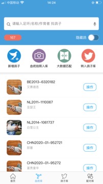赛鸽云